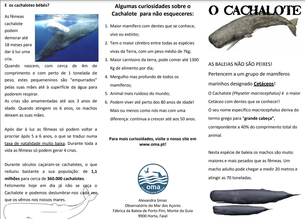 Resource Image