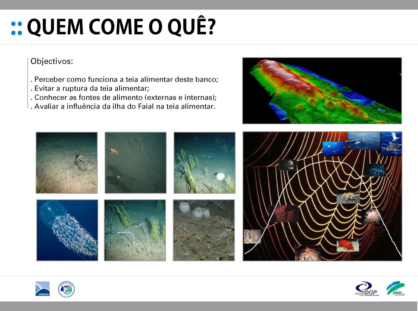 Resource Image
