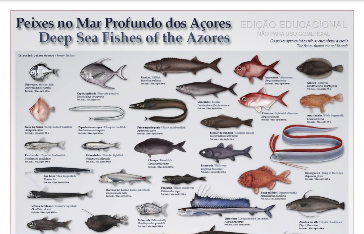 Resource Image